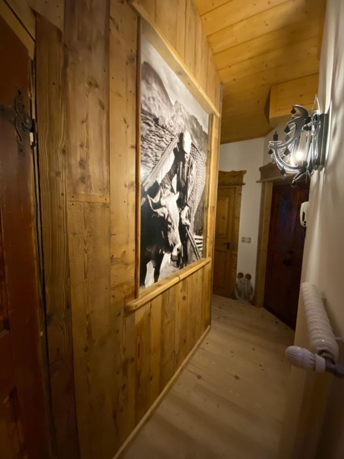 Calore Di Una Casa Di Montagna Кампитело ди Фаса Екстериор снимка