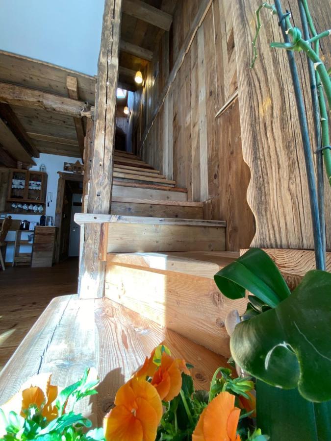 Calore Di Una Casa Di Montagna Кампитело ди Фаса Екстериор снимка